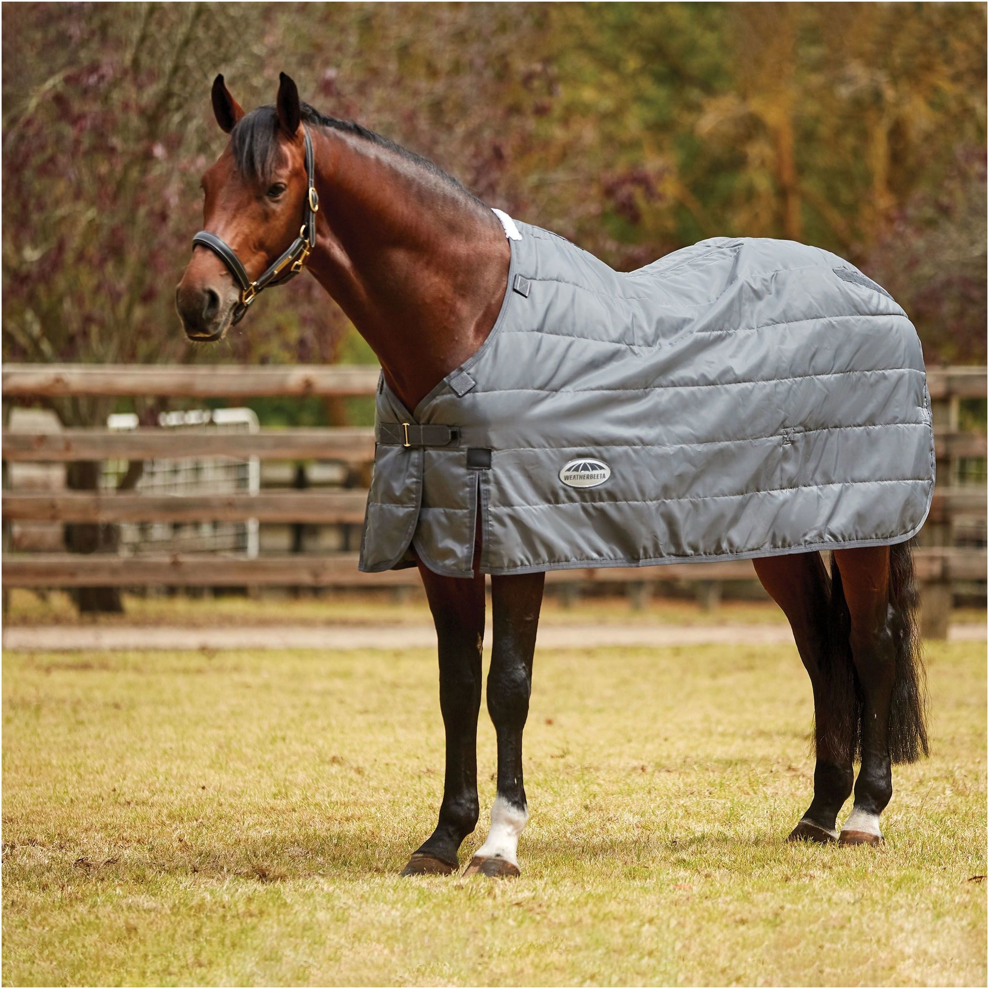 Weatherbeeta Comfitec Medium-Lite Liner - Grey